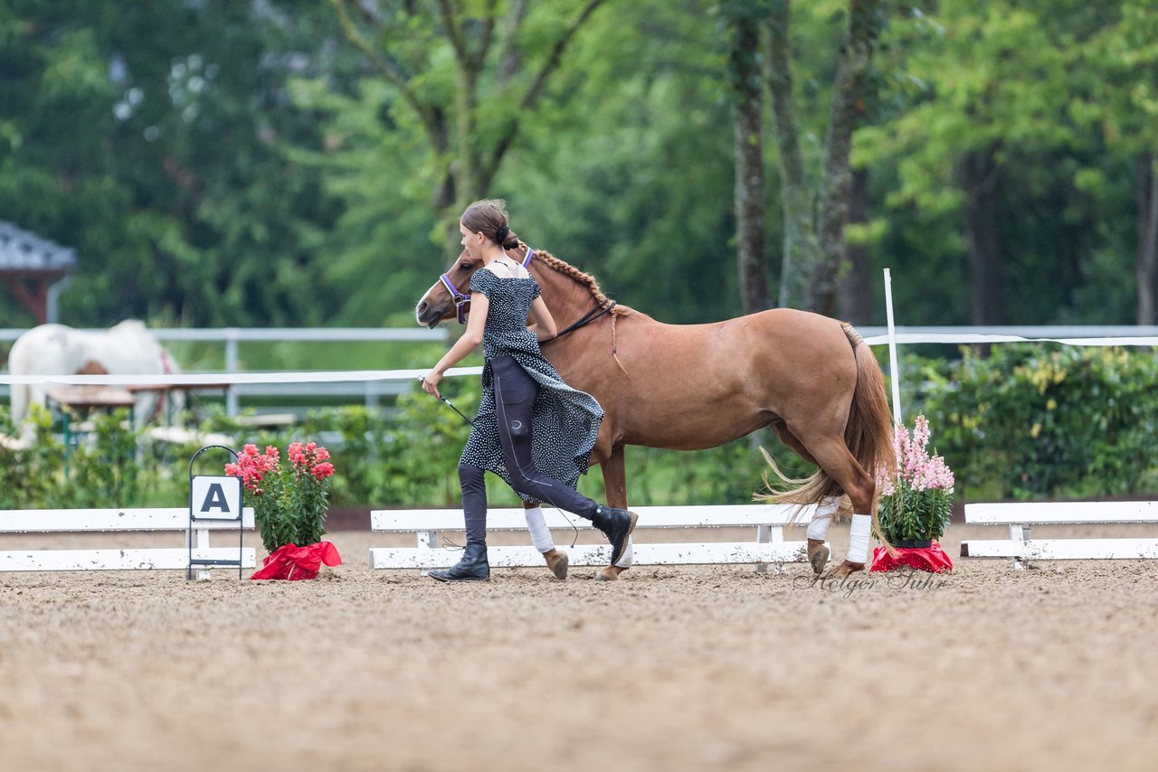 Bild 138 - Pony Akademie Turnier